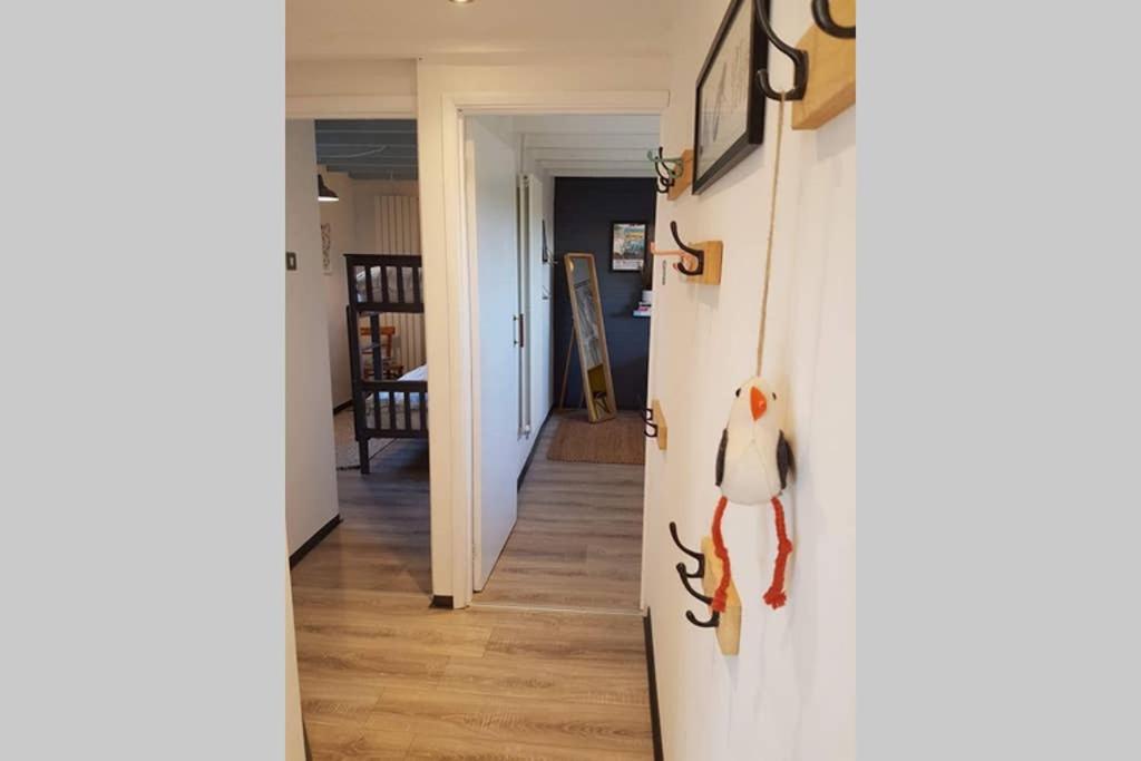 Milking Shed Cottage Narberth Esterno foto