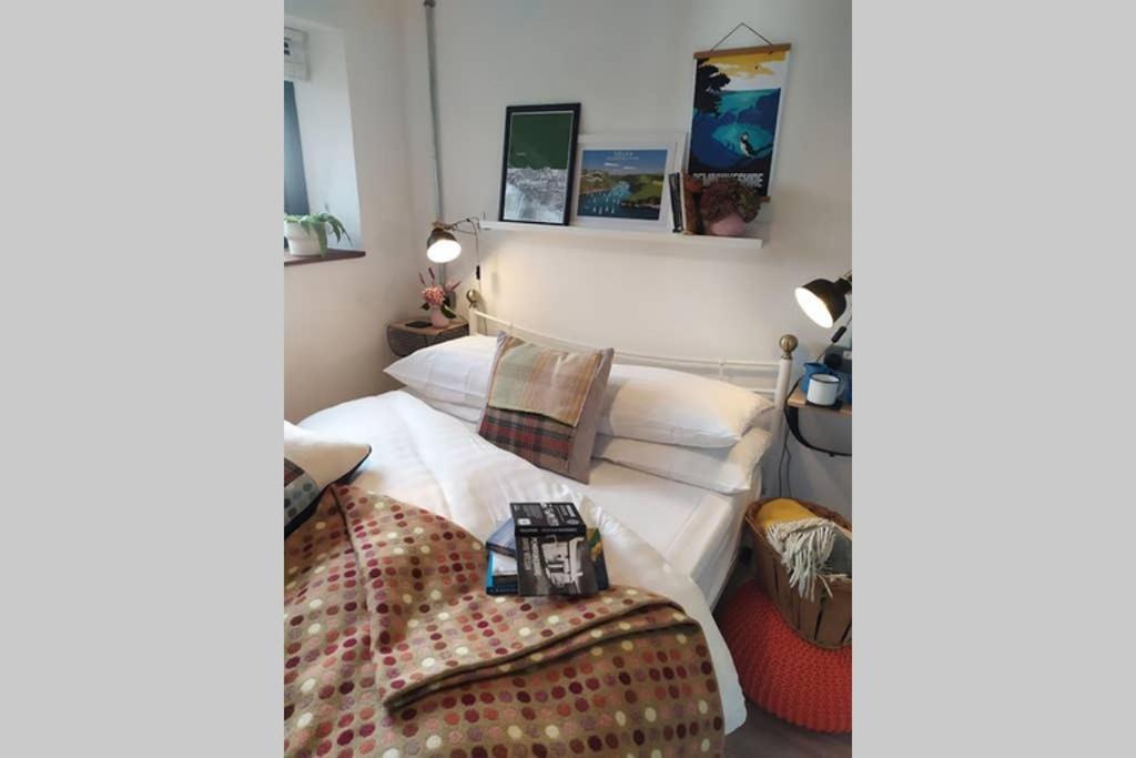 Milking Shed Cottage Narberth Esterno foto